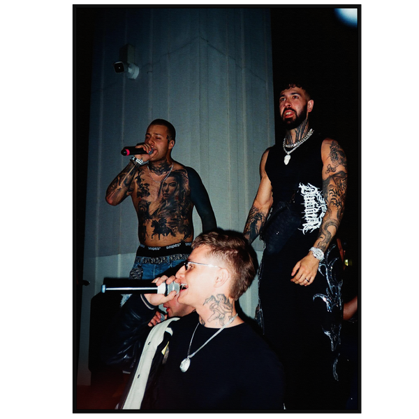 Plakat "White Widow - Trio" - VisualVerses